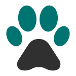 mascotas